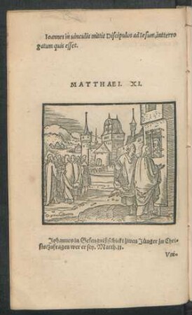 Matthaei. XI.