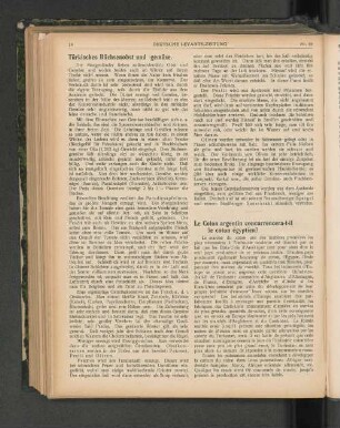Le Coton argentin concurrencera-t-il le coton égyptien?