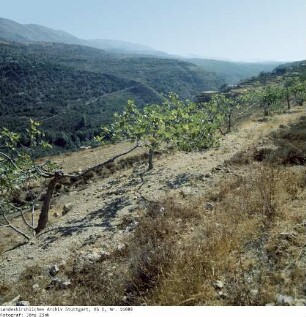 Libanon: Landschaft im Libanon