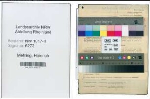 Entnazifizierung Heinrich Mehring , geb. 08.04.1896 (Werkzeughaendler)