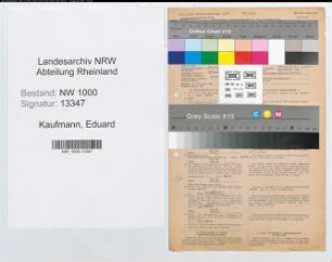 Entnazifizierung Eduard Kaufmann, geb. 18.02.1905 (Kaufmann)
