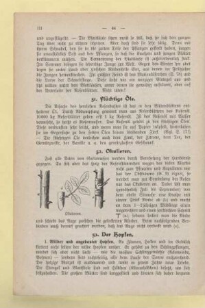 VII. An Wegen und Hecken