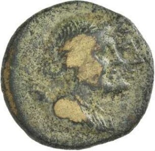 Perge
