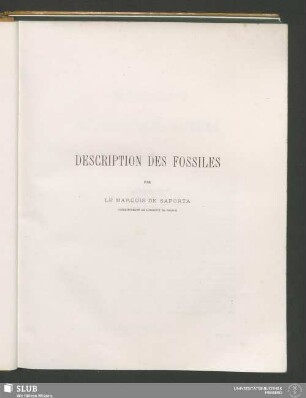 Description Des Fossiles