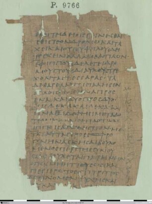 Zusammenfassung von Platon, Leges 833–837