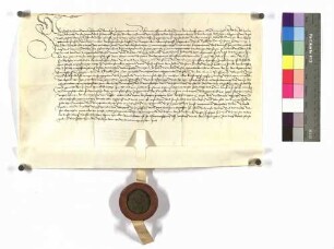 Crailsheim; Graf Gottfried von Hohenlohe übergibt Graf Kraft von Hohenlohe alle Rechte und Gerechtigkeiten auf Nidda und Ziegenhain; Siegel: Gottfried von Hohenlohe.