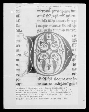 Homiliae Origenis — Initiale D (eprecamor), Folio 117 recto