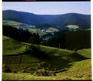 Schönegründ: Reihen Heustadel, an der Straße Besenfeld, Huzenbach