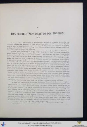 Das sensible Nervensystem der Bryozoen.