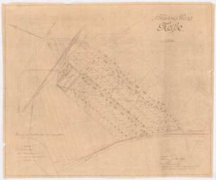 Siedlung für Kriegsverletzte, Neiße: Grundplan 1:2500