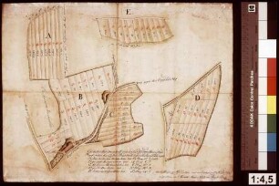Geometrischer Grundriss von den löwensteinischen auf Seiten des Kloster Neustadt befindlichen Feldungen