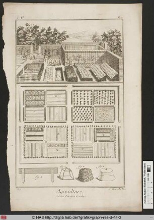 Agriculture, Jardin Potager Couches.