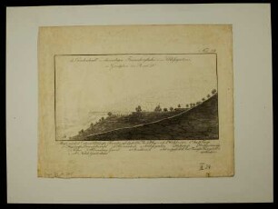 Friesenbergtal und Schlossgarten