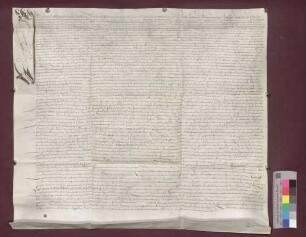 Lienhart Häßler, Müller zu Dottingen, übernimmt von Jost Hauser, Oberstmeister zu Freiburg, dessen Hof zu Dottingen, genannt des Sauthers Lehenhof, als Erblehen.