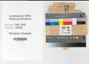 Entnazifizierung Elisabeth Steingass , geb. 08.11.1897 (Lehrerin)