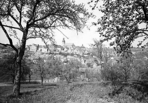 Gochsheim: Blick durch Bäume auf die Stadt