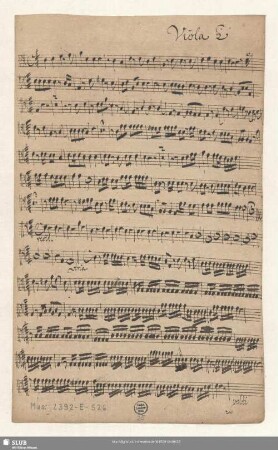 Viola 2 [unvollst.]