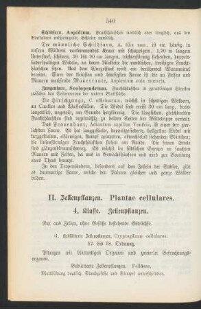 II. Zellenpflanzen. Plantae cellulares.