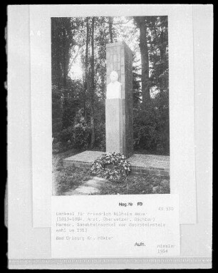 Bad Driburg, Denkmal für Friedrich Wilhelm Weber : Bad Driburg. Denkmal für Friedrich Wilhelm Weber (1813-1894), Arzt, Übersetzer, Dichter). Marmor, Sandsteinsockel vor Backsteinstele