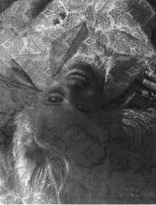 Experimentelle Fotografie von Germin. Verfremdungs-Versuch mit Seidentuch 1973