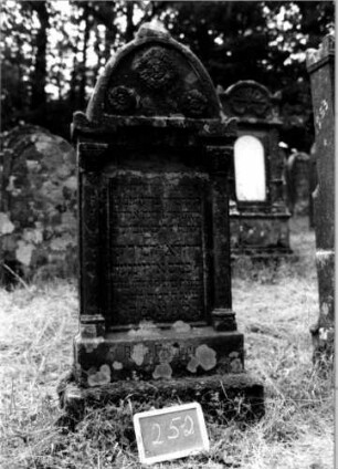 Grabstein 252 [Nir S. 156 Nr. 15.10]
