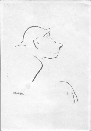 Affe im Profil : Affe im Profil. Kohlezeichnung (wohl 1930/1950; E. Richter)