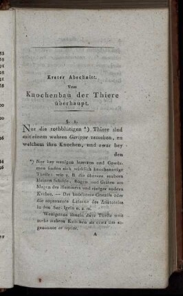 Erster Abschnitt. Vom Knochenbau der Thiere überhaupt