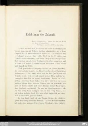 IX. Reichthum der Zukunft.