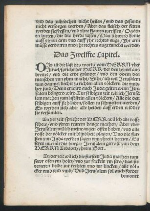 Das Zwelffte Capitel.