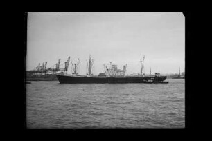 Clivia (1955), Frachtschiff, Hermann Dauelsberg, Bremen, Bau-Nr. 1288