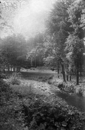 Eisenbahnbrücke an der Preßnitz