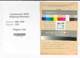 Entnazifizierung Karl Wagner , geb. 28.04.1902 (Angestellter)
