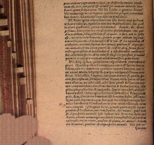 Exercitatio phys. opinionem de multitudine animarum in homine recensens