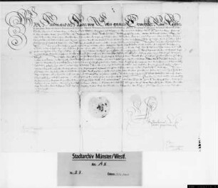 Schutzbrief Kaiser Ferdinands II. für die Stadt Münster.