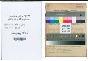 Entnazifizierung Sofia Koepping , geb. 08.04.1896 (Haendler)