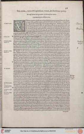 Fen Tertia