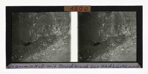 Kammerstoß mit Durchbruch zur Nachbarkammer, Bleizinkerzgrube Ramsbeck