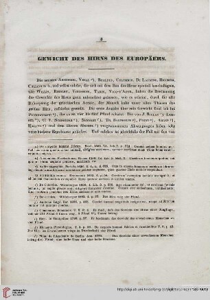 Gewicht des Hirns des Europäers