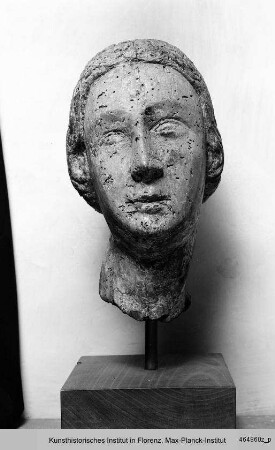 Weiblicher Kopf