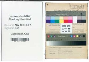 Entnazifizierung Otto Boesebeck , geb. 03.12.1905 (Kaufmann)