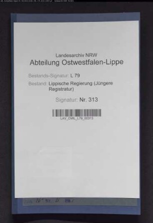 Rekurse in Ablösungssachen: [Amt Detmold] Dorfschaft Hiddesen ./. Fürstl. Rentkammer