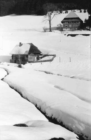 Waldau: Schwarzwaldhöfe und Bach im Schnee
