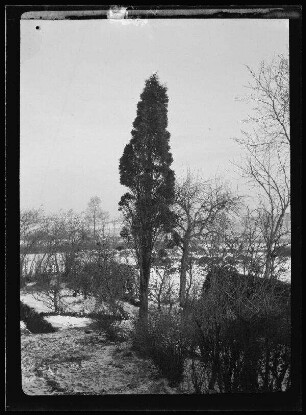 Arleux-en-Gohelle (Dep. Pas-de-Calais, Frankreich), schneebedeckter Garten