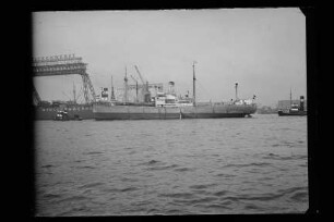 Winnie Lattmann (1945), Lattmann, Hamburg