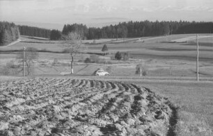 Höchenschwand: Alpenblick von Höchenschwand, Vordergrund Acker