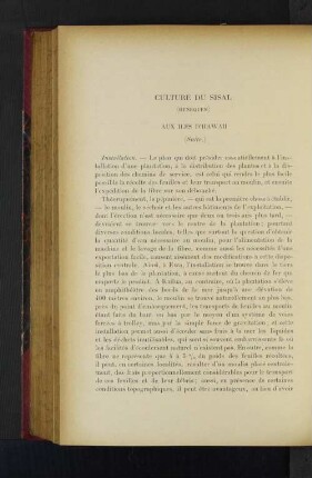 Culture Du Sisal.