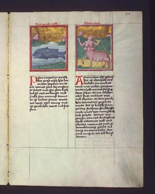 Sternbilder: (1) Der große Fisch (Piscis austrinus); (2) Kentaurenweibchen (Austhronotus-Thetis)