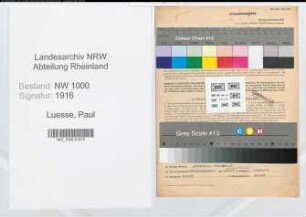 Entnazifizierung Paul Luesse, geb. 12.08.1907 (Angest.)