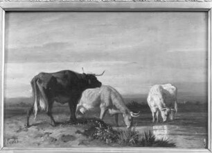 Landschaft mit Kühen