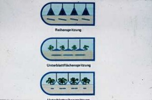 Übersicht: Pflanzenschutz